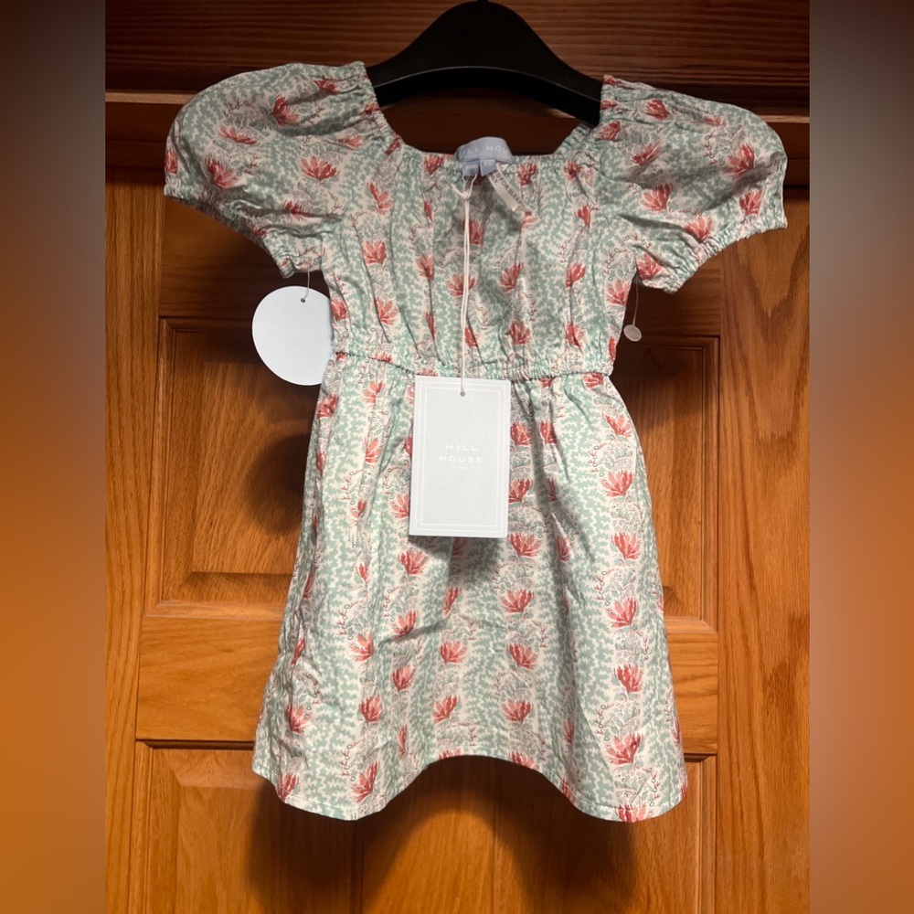 Hill House The Tiny Sienna Girl Size 3/4Y Green Linear Floral Cotton Dress New